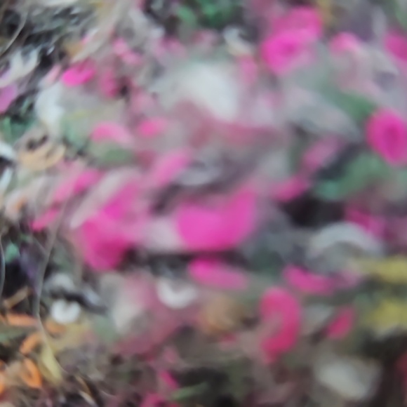 ■sold Cynthia Steefe cardigan size large - Picture 7 of 9